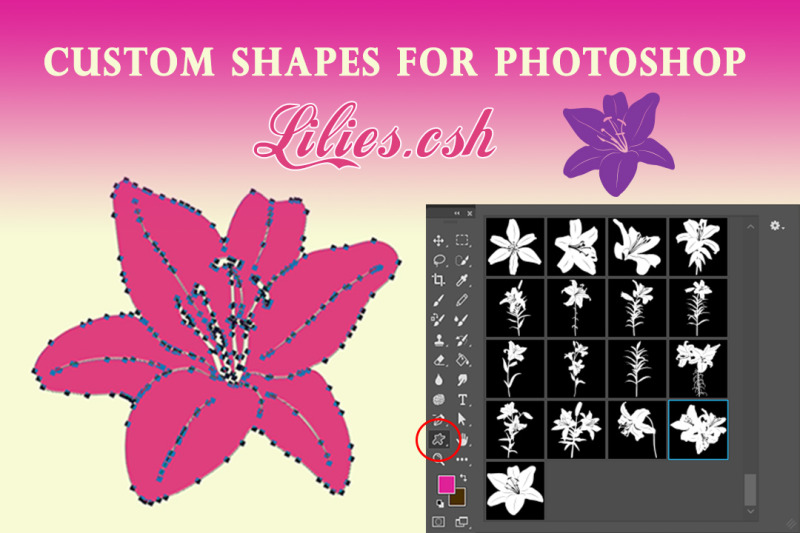 lily-flowers-custom-shapes-for-photoshop