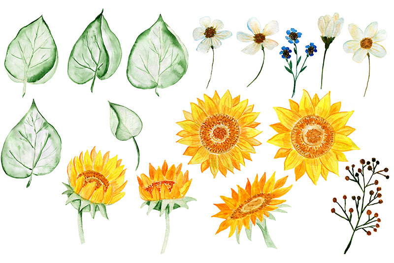 sunflowers-watercolor-flowers-gold-frames