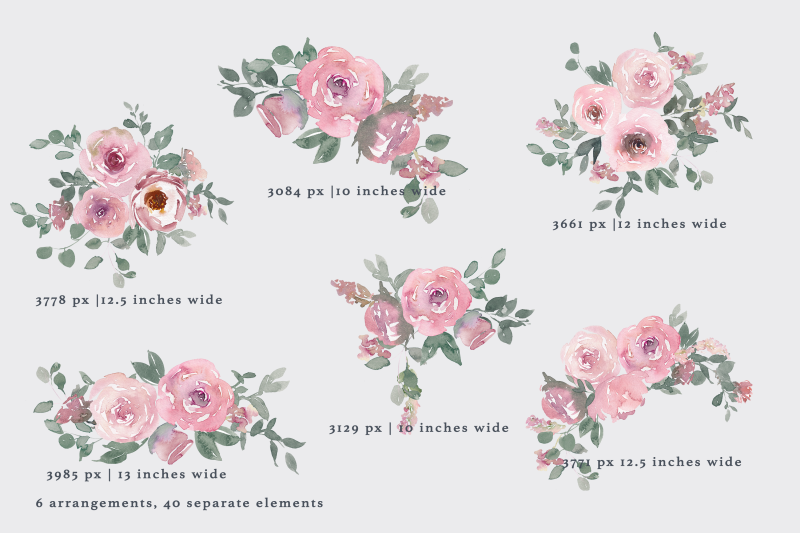 watercolor-dusty-rose-clipart-large-set