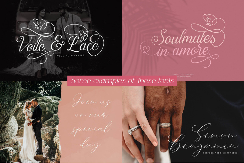 the-wedding-font-bundle-wedding-fonts-script-fonts-beautiful-fonts