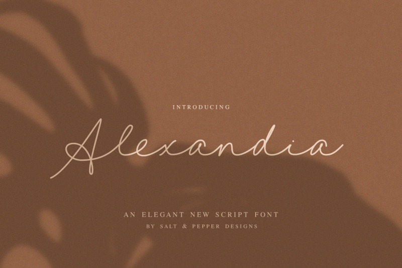 the-wedding-font-bundle-wedding-fonts-script-fonts-beautiful-fonts