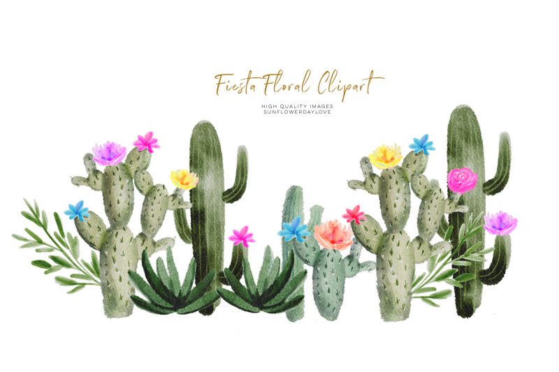 cactus-flower-frame-clipart-succulent-cactus-cactus-watercolor