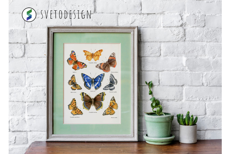 watercolor-hand-drawn-european-butterflies-clipart