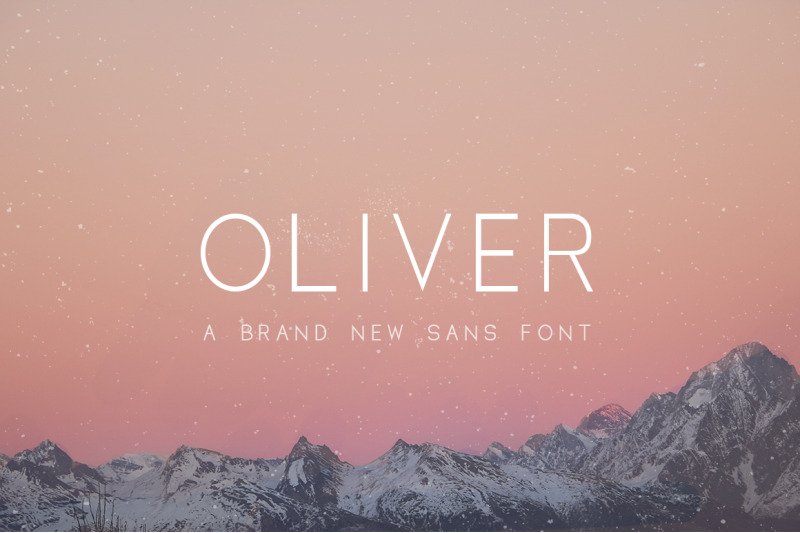 the-elegant-font-bundle-serif-fonts-sans-fonts-professional-fonts