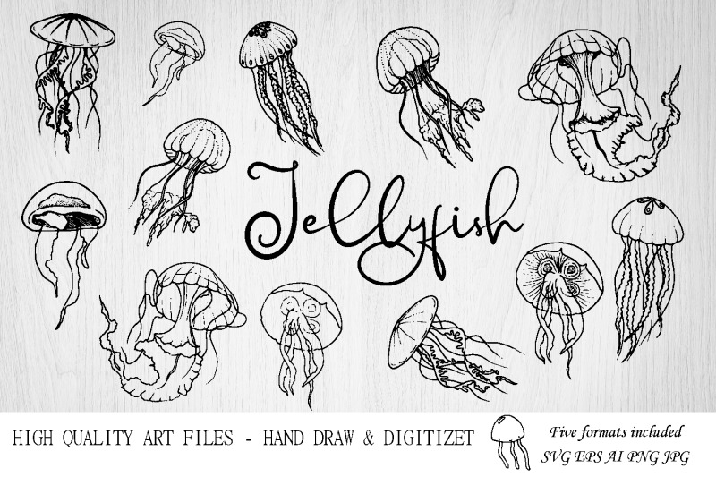 jellyfish-svg-ocean-svg-under-the-sea-jellyfish-clipart