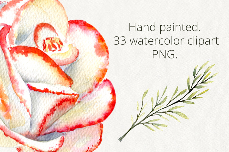 roses-and-hummingbirds-watercolor-clipart