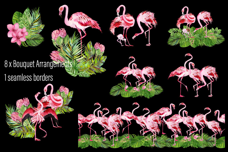 tropical-flamingo-clipart-watercolor-birds