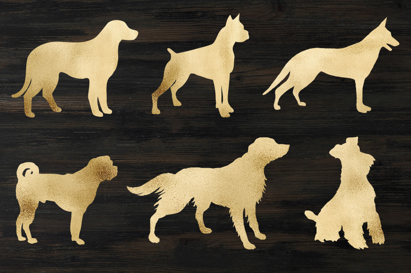 gold-dogs-clipart