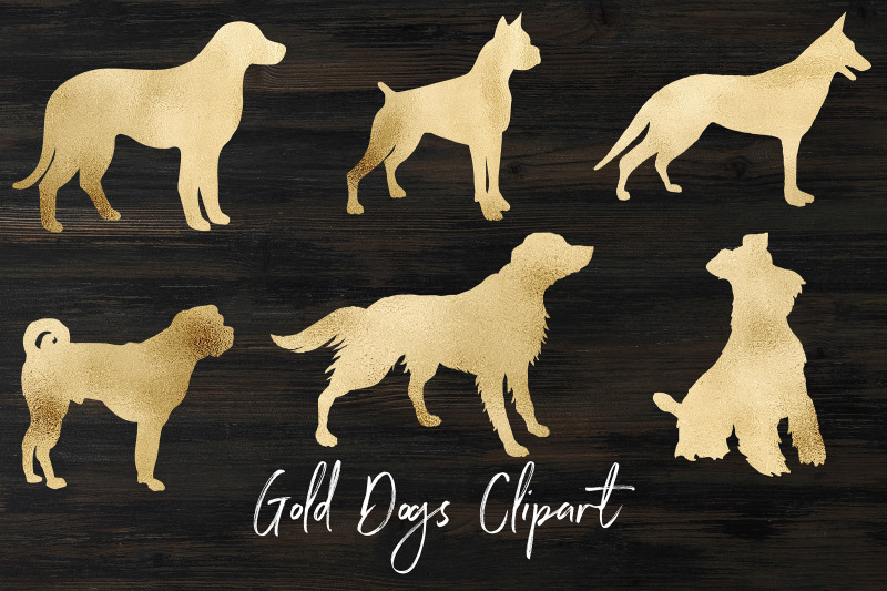 gold-dogs-clipart