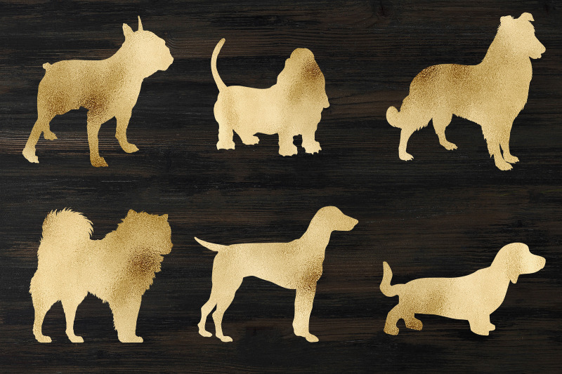 gold-dogs-clipart