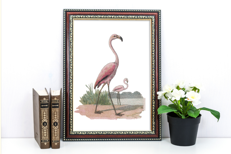 vintage-farmhouse-birds-duck-stork-pink-flamingo