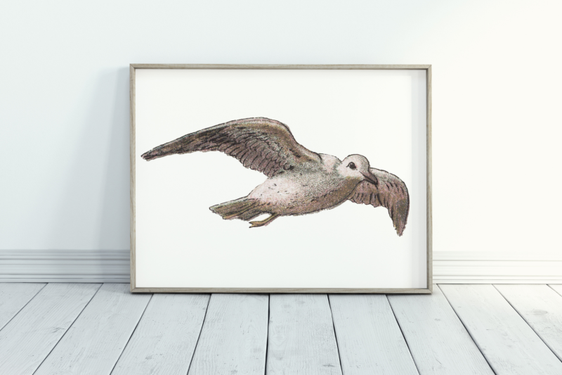 vintage-farmhouse-birds-duck-stork-pink-flamingo