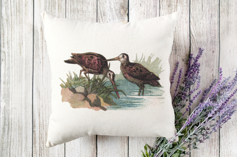 vintage-farmhouse-birds-duck-stork-pink-flamingo