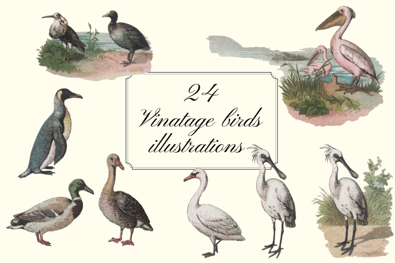 vintage-farmhouse-birds-duck-stork-pink-flamingo