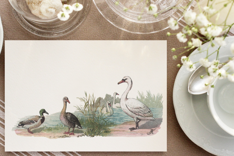 vintage-farmhouse-birds-duck-stork-pink-flamingo