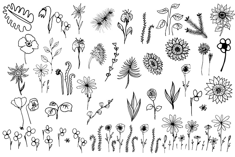 flowers-set-svg-floral-botanical-36-elements-leaves-amp-flower
