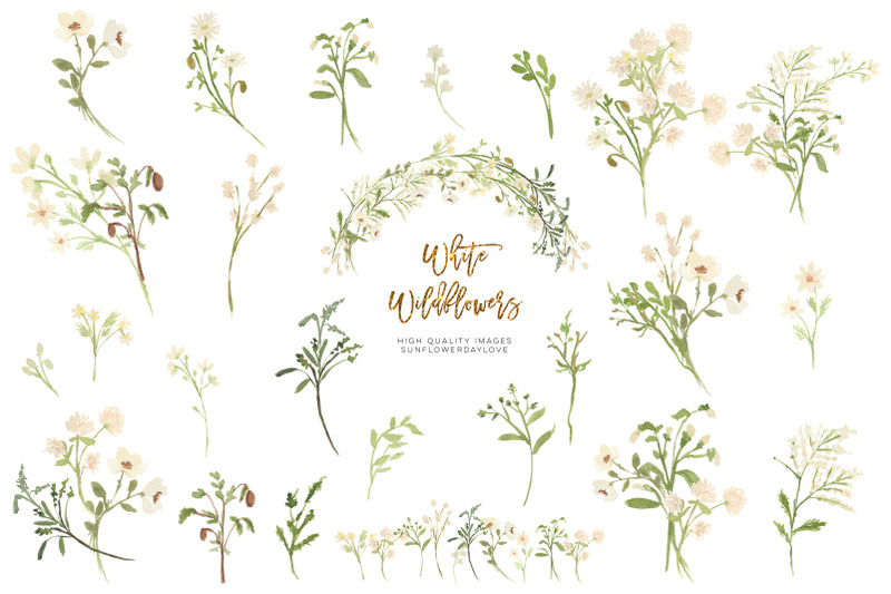 white-wildflowers-watercolor-clipart-greeting-cards-floral-clipart