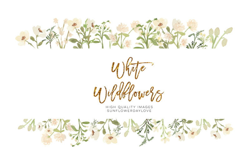 frame-white-wildflowers-clipart-geometric-clipart-botanical