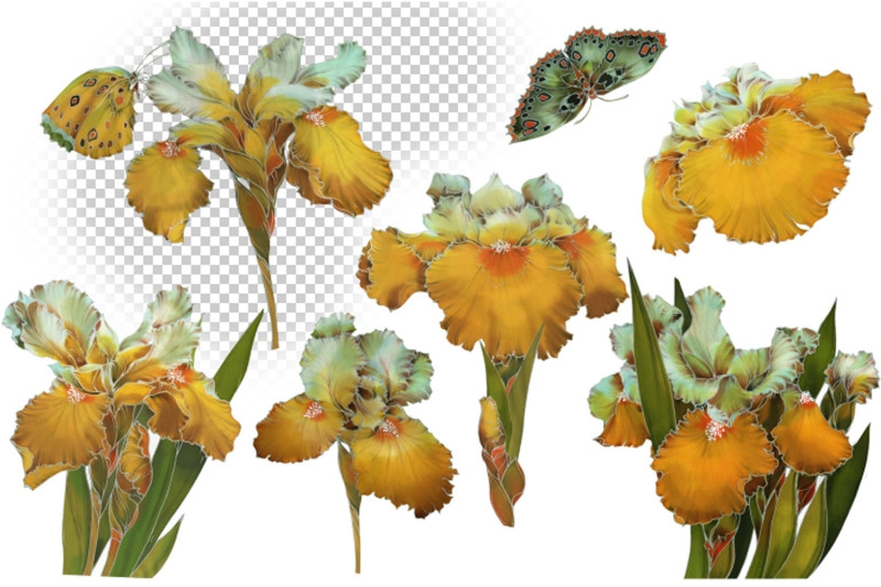 clip-art-golden-irises