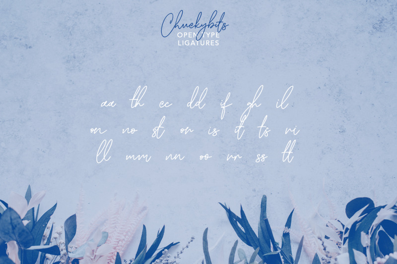 chuckybits-fancy-signature-script-font