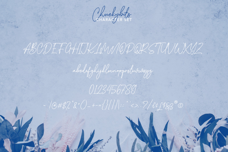 chuckybits-fancy-signature-script-font