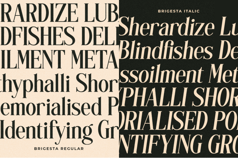 brigesta-seri-display-font
