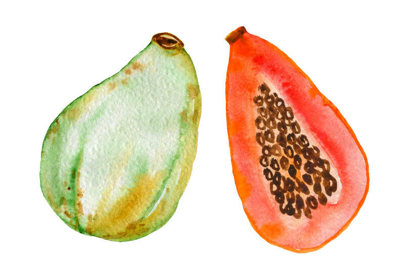 fruit-watercolor-clipart-fruits-fruit-ilustration