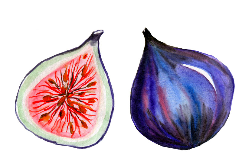 fruit-watercolor-clipart-fruits-fruit-ilustration