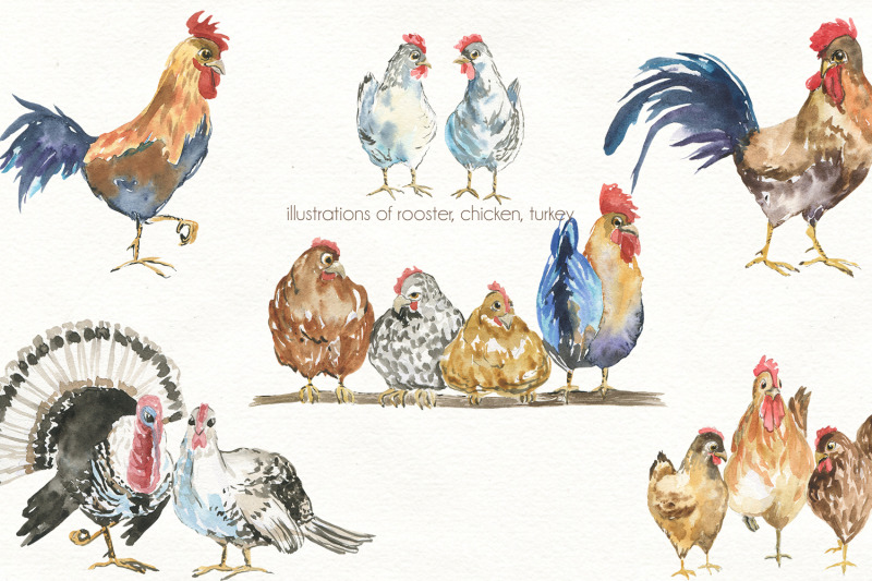 pets-and-birds-watercolor-clipart