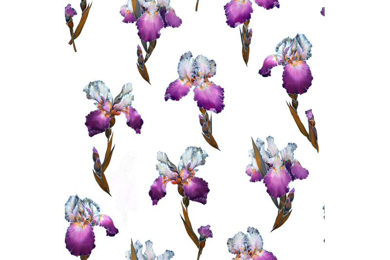 watercolor-clip-art-floral-pattern-of-purple-irises