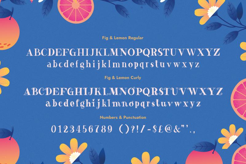 fig-amp-amp-lemon-serif-font-hand-drawn-fonts-crafter-fonts