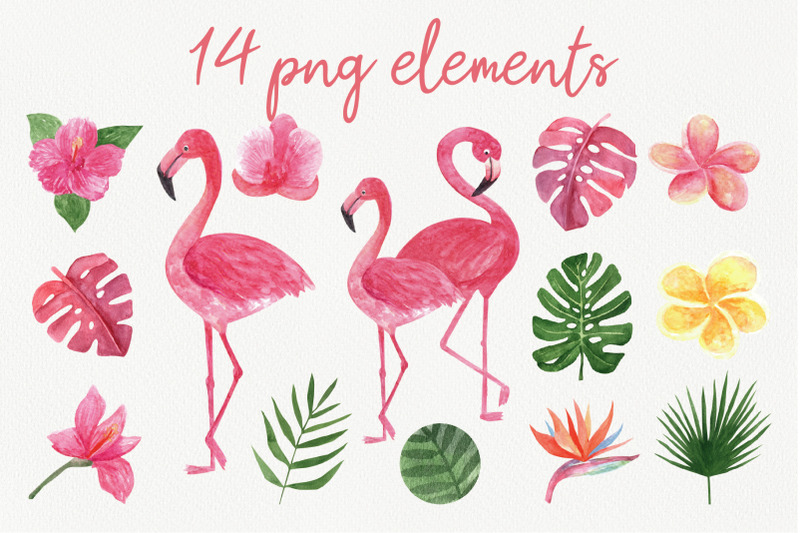 watercolor-flamingo-and-flowers-set