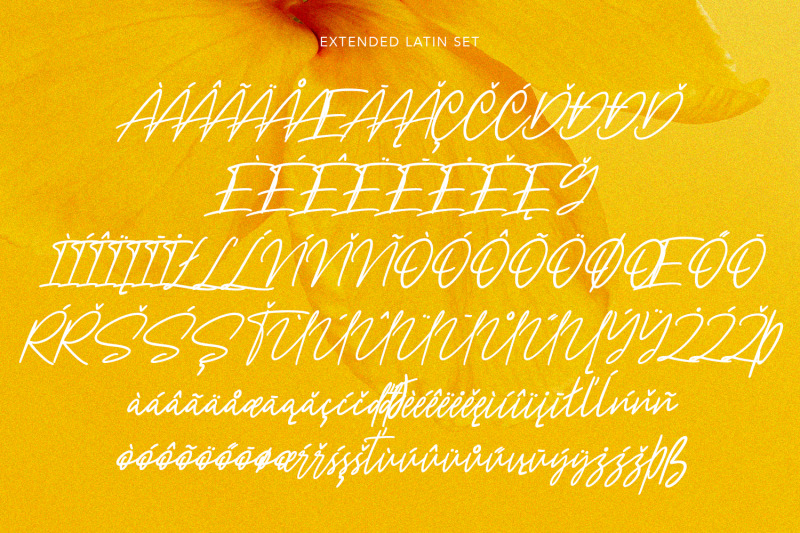 nicestrips-fancy-script-font