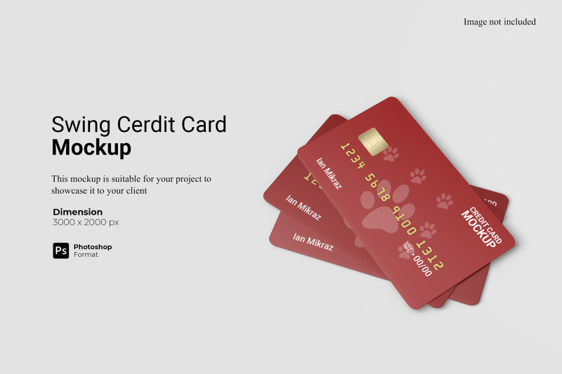 swing-credit-card-mockup