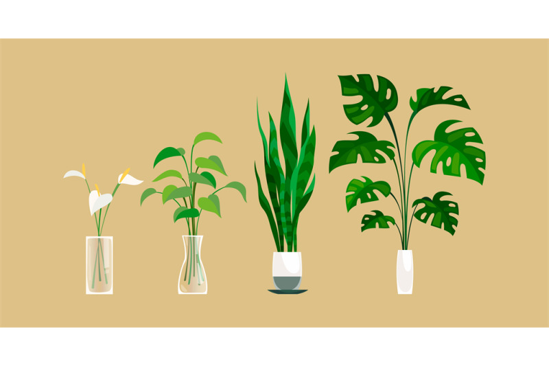 plants-in-pot-exortic-ficus-and-monstera-palm-in-flowerpot-indoors-g