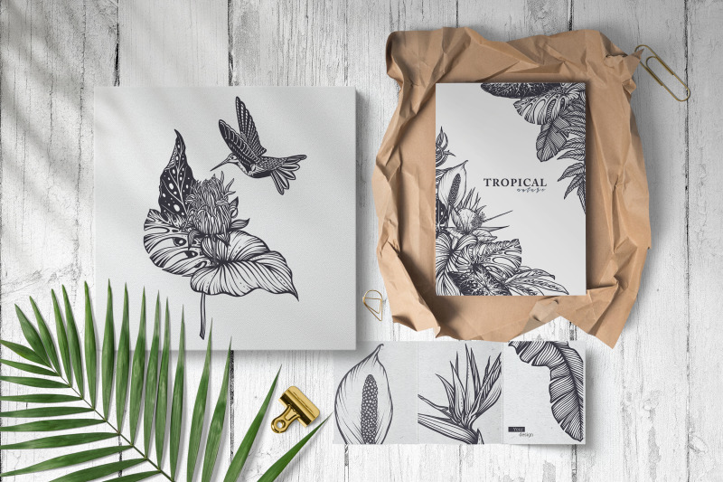 tropical-nature-vector-set