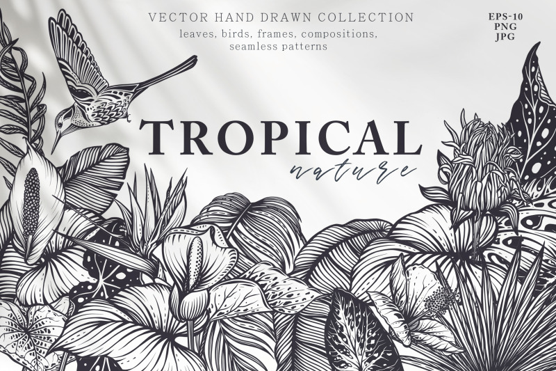 tropical-nature-vector-set