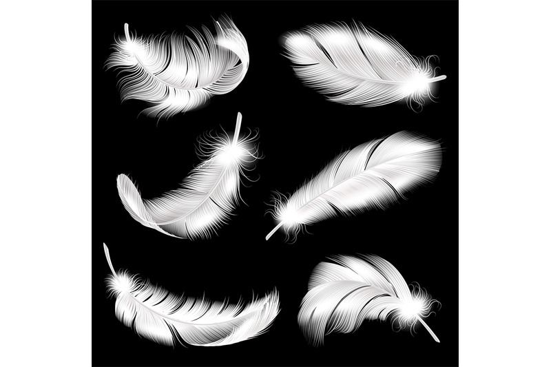 white-feathers-realistic-set-falling-fluffy-twirled-bird-plume-in-dif