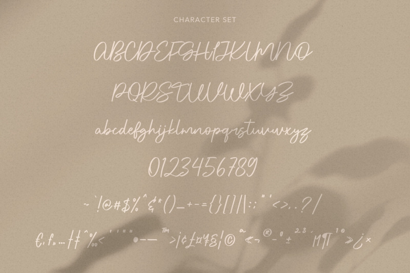 rawks-dream-handwritten-script-font