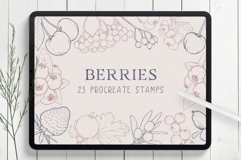 berries-procreate-stamp-brushes