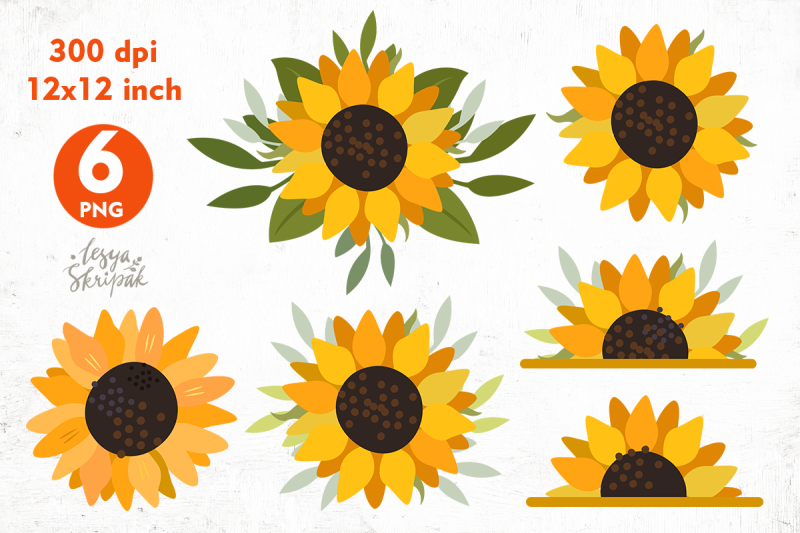 sunflower-sublimation-png-sunflower-bundle-sun-flowers
