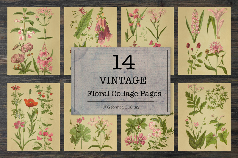 vintage-field-flowers