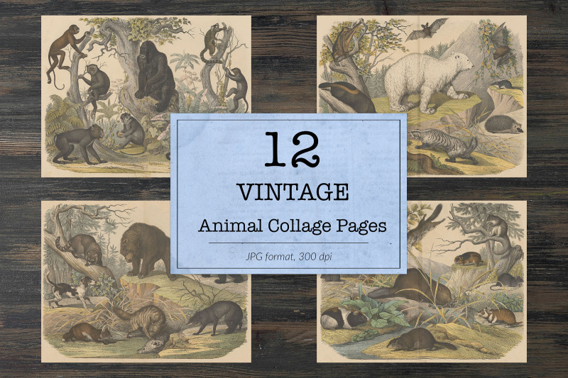 vintage-animals-ephemera-classics