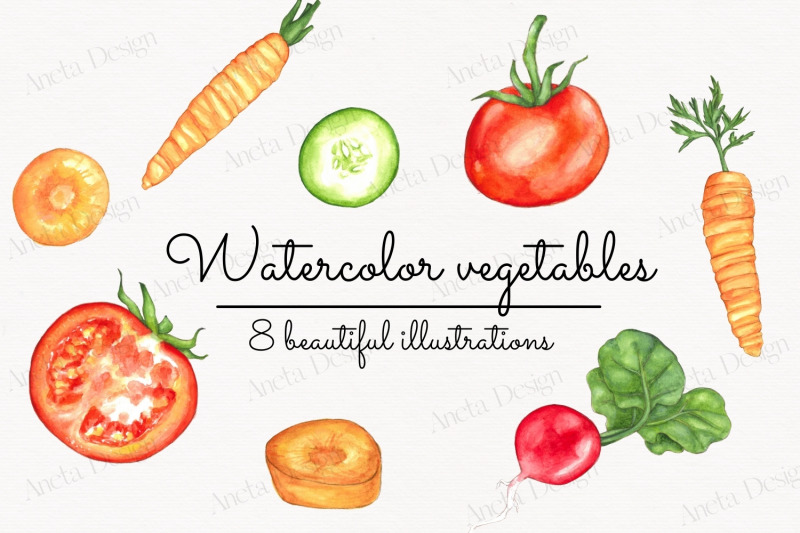 watercolor-vegatables-handpainted-carrot-tomato-radish-cucumber