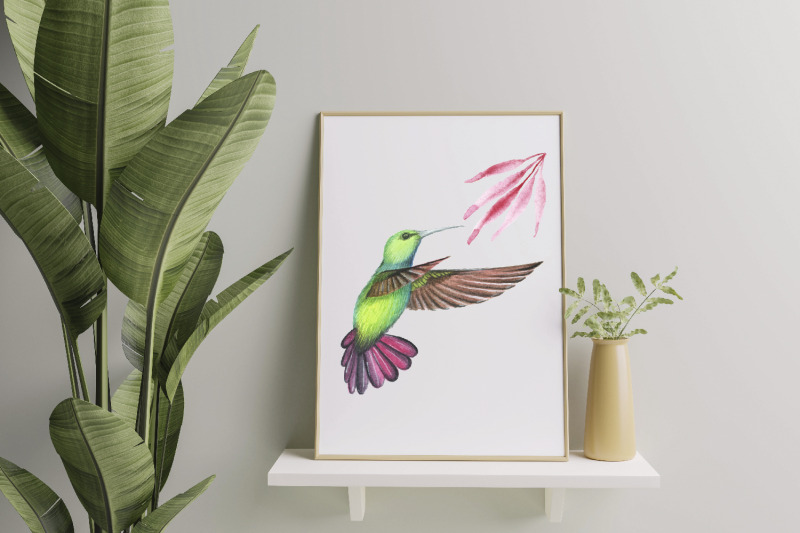 watercolor-clipart-hummingbird-sublimation-bird