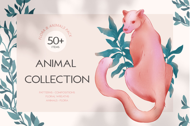 animal-collection