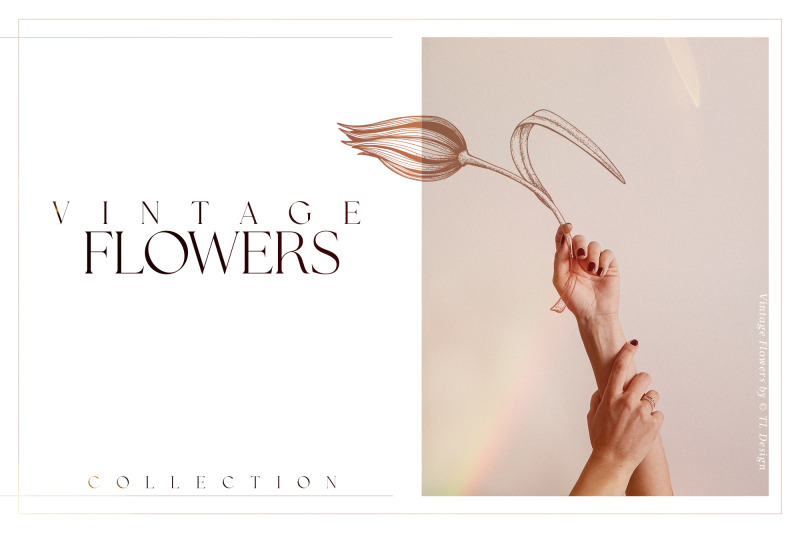 vintage-flowers-collection