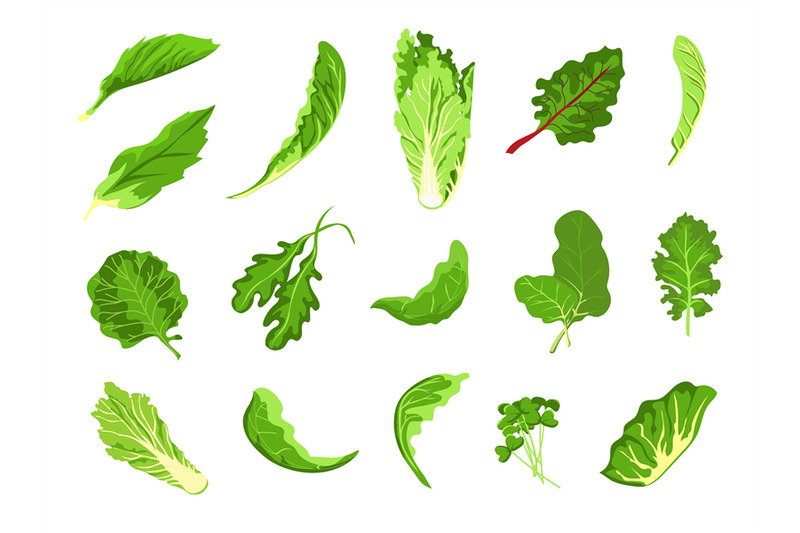 salad-leaves-green-fresh-farm-food-lettuce-cabbage-arugula-cress