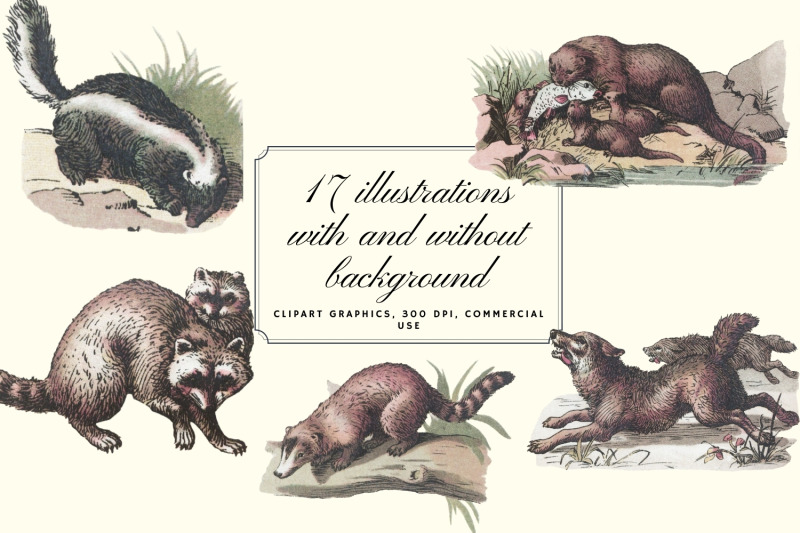 antique-animal-clipart-set-vintage-bear-clipart-graphics