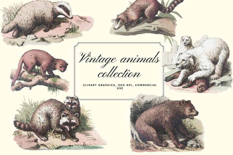 antique-animal-clipart-set-vintage-bear-clipart-graphics